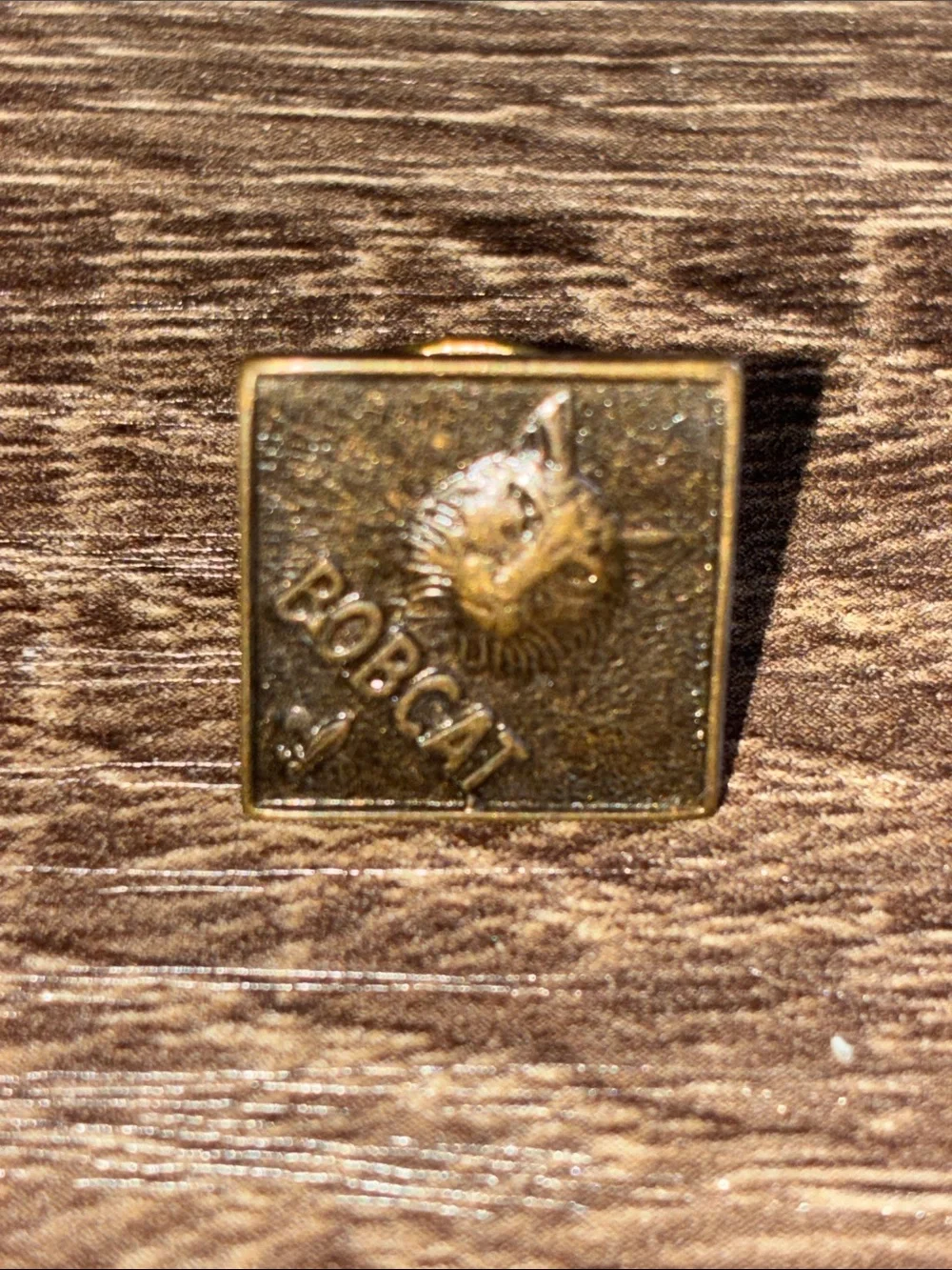 Vintage Bronze Tone Boy Scout Lot of 5 Lapel Pin Set